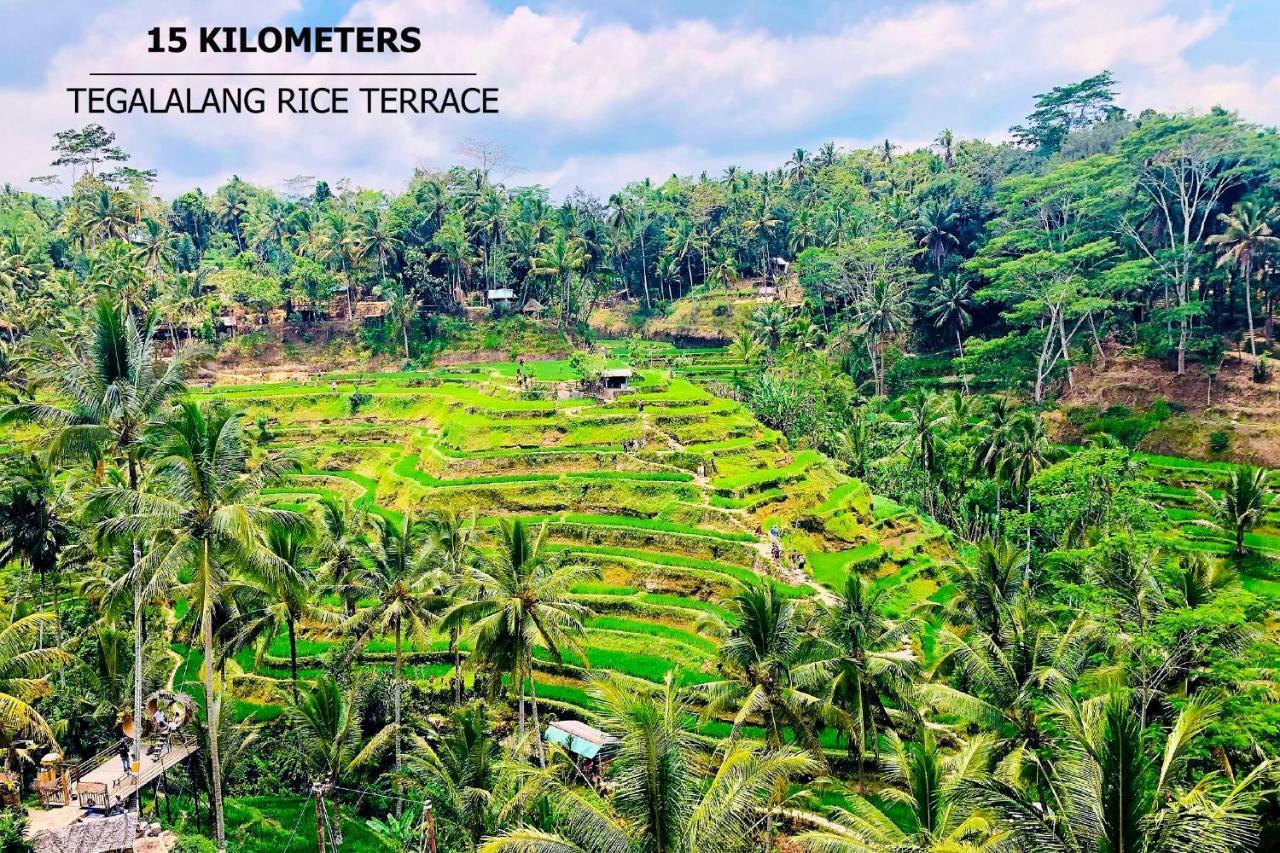 Anyuta Rai Villa Ubud Buitenkant foto