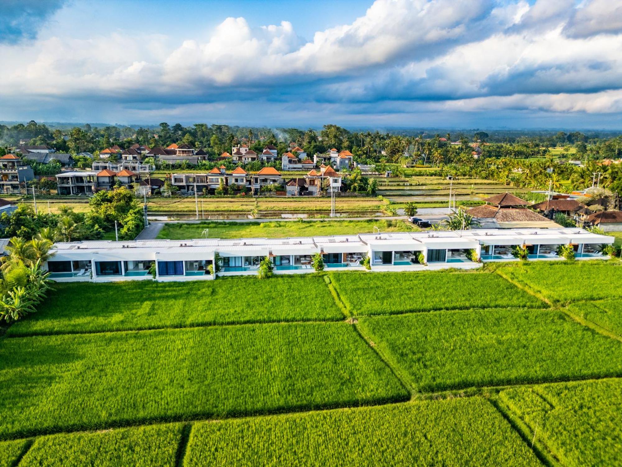 Anyuta Rai Villa Ubud Buitenkant foto