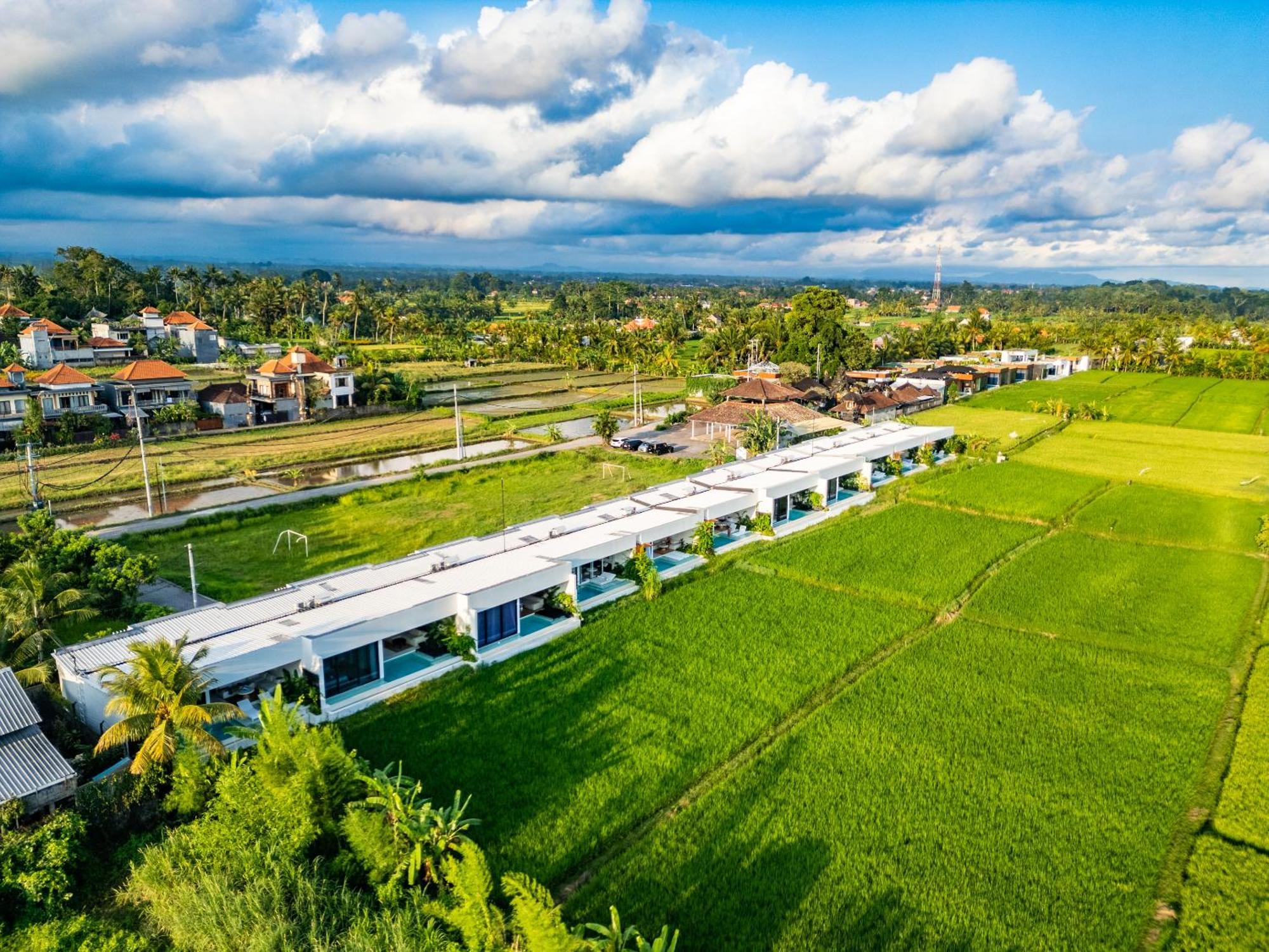 Anyuta Rai Villa Ubud Buitenkant foto